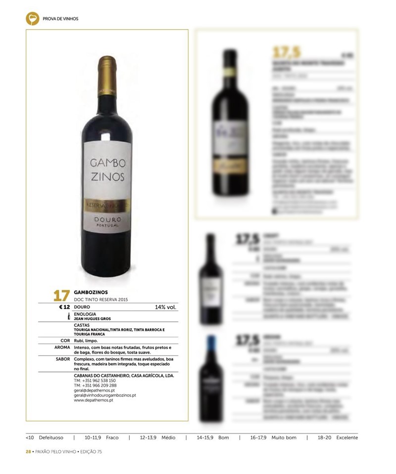 Gambozinos in Paixão Pelo Vinho Magazine - Ver mais